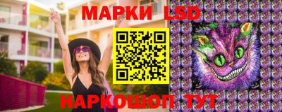 ПСИЛОЦИБИНОВЫЕ ГРИБЫ Краснознаменск
