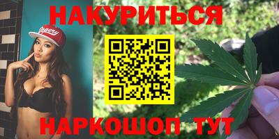 стаф Краснодар