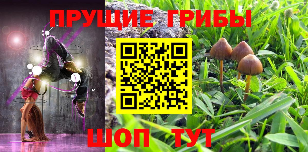 Галлюциногенные грибы Psilocybe  Псилоцибиновые грибы Cubensis  Южноуральск  купить наркотики цена  Вход с VPN 